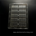 clamshell vacuum forming PET blister packaging tray